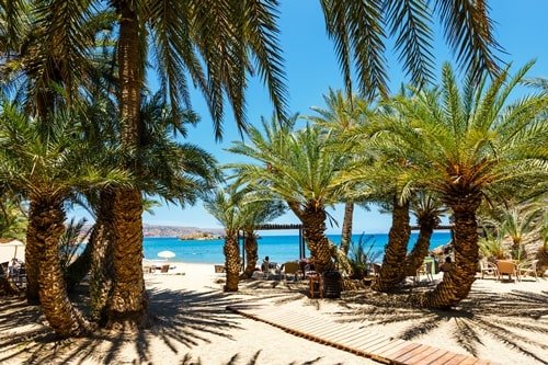 Palmen und Sandstrand vor dem Meer am Strand von Vai.