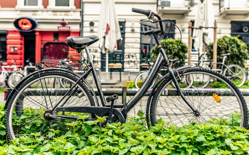 Zugewuchertes Fahrrad vor Altbauten im Schanzenviertel