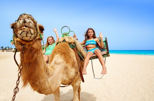 kanaren kamel reiten