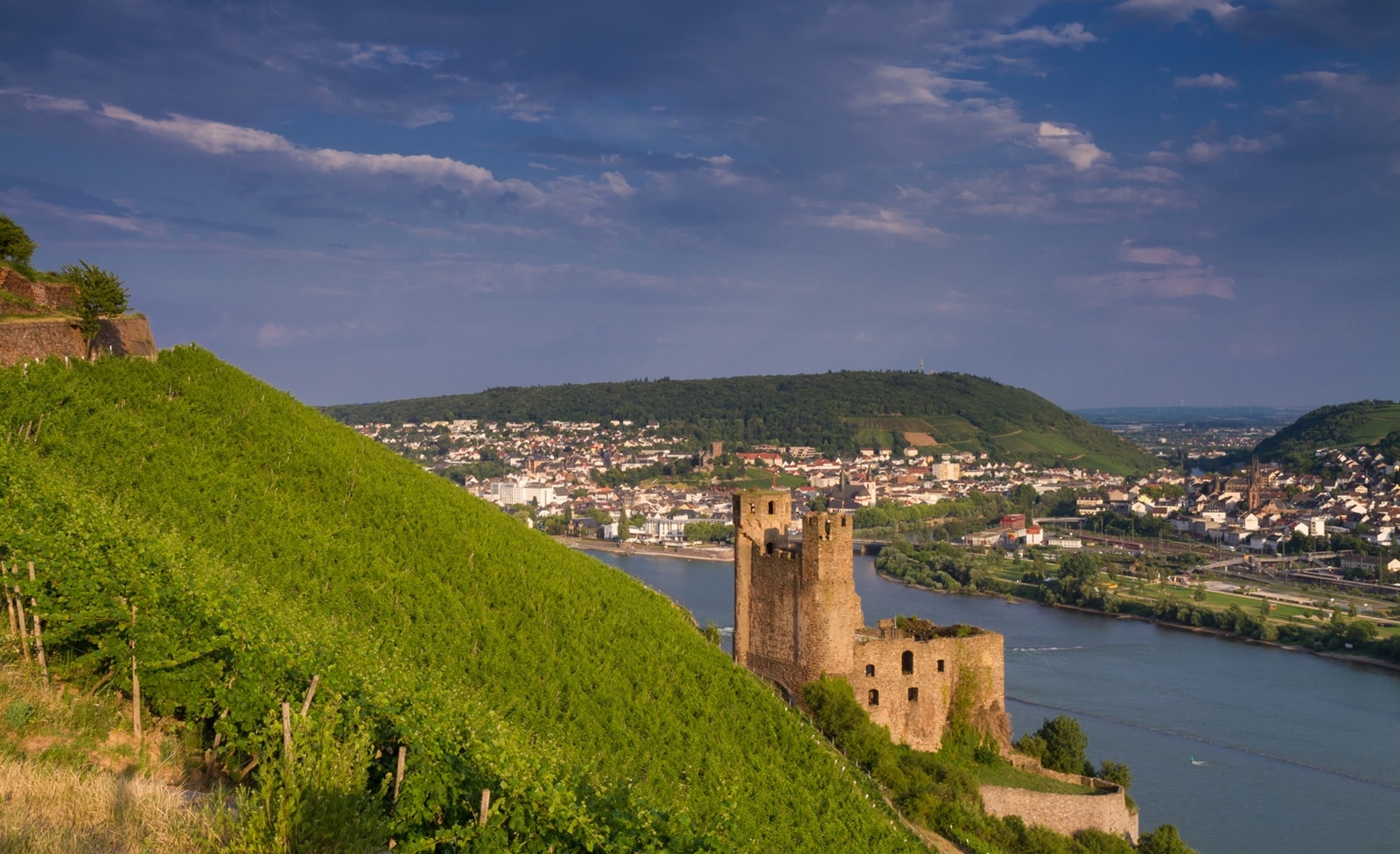Burg am Rhein