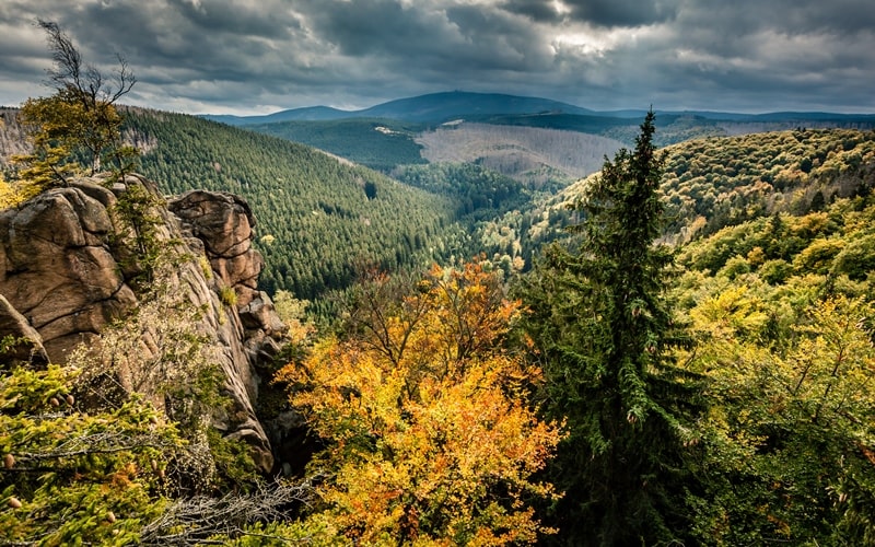 Der Harz im Herbst