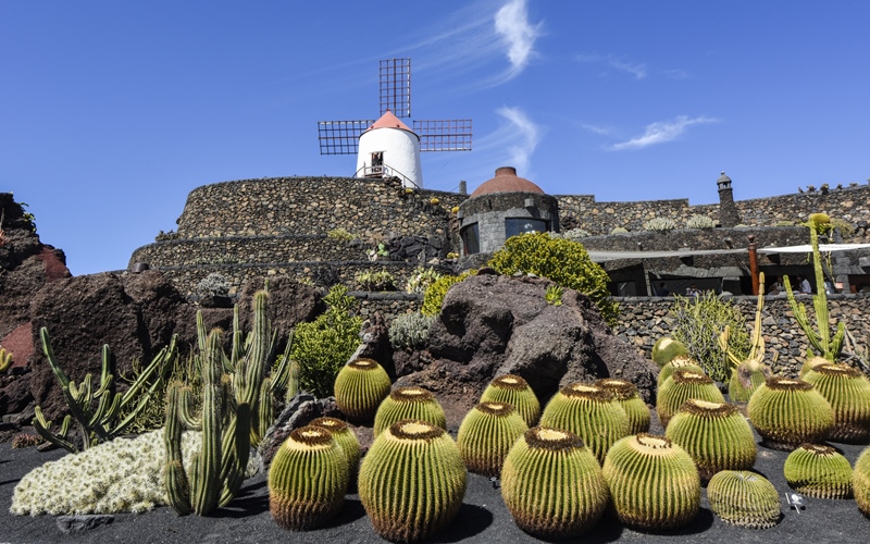Beautifully designed cactus garden on Lanzarote, Canary Islands