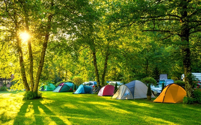 Camping De Papillon