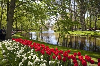 Tulpenblüte Holland Flusskreuzfahrt