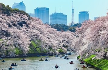 Städtetrip Tokio April