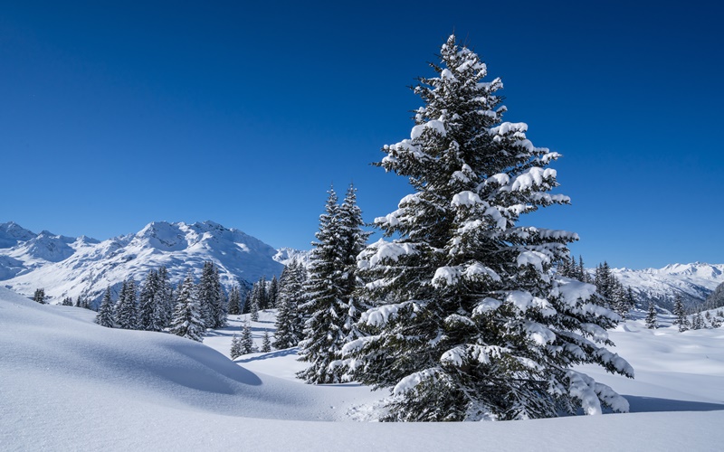 winterwandern österreich