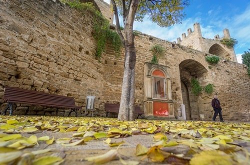 Mallorca Herbst