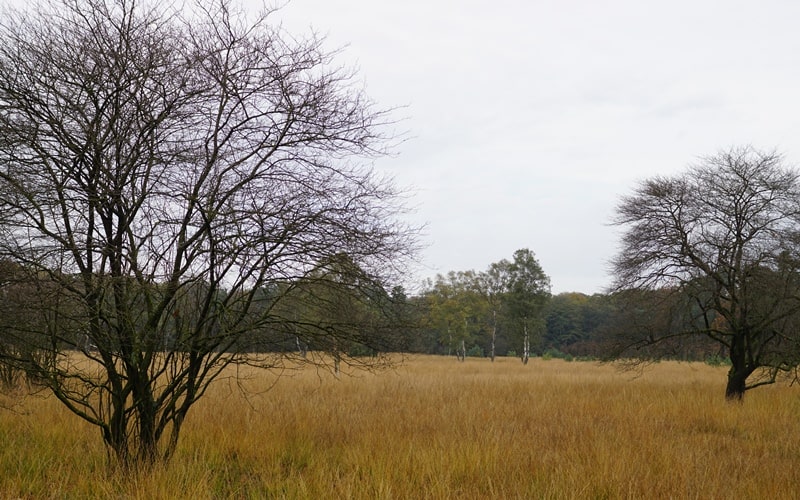 De Hoge Veluwe Nationalpark